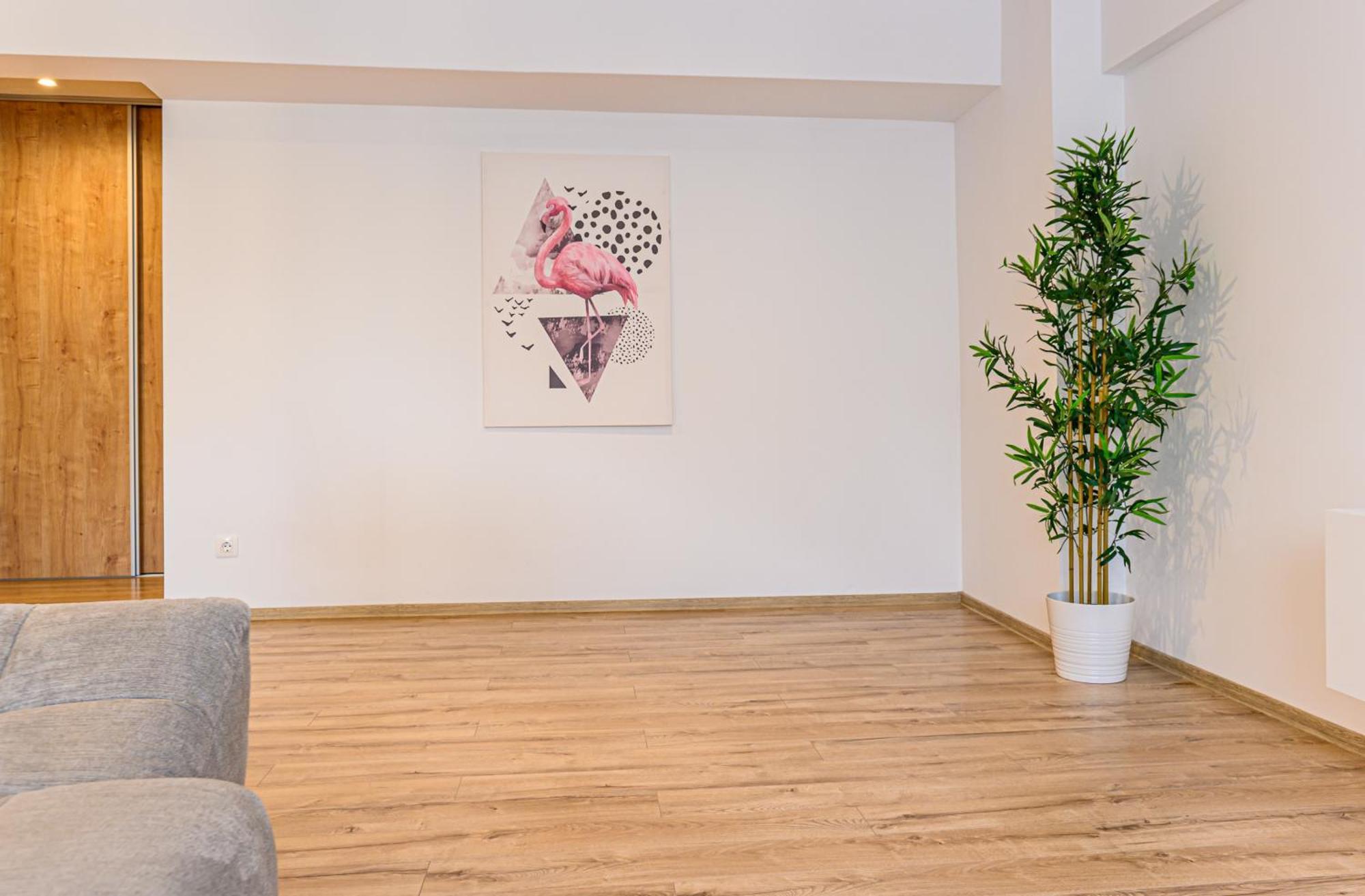 Koa - Pandora Apartments ブラショフ 部屋 写真